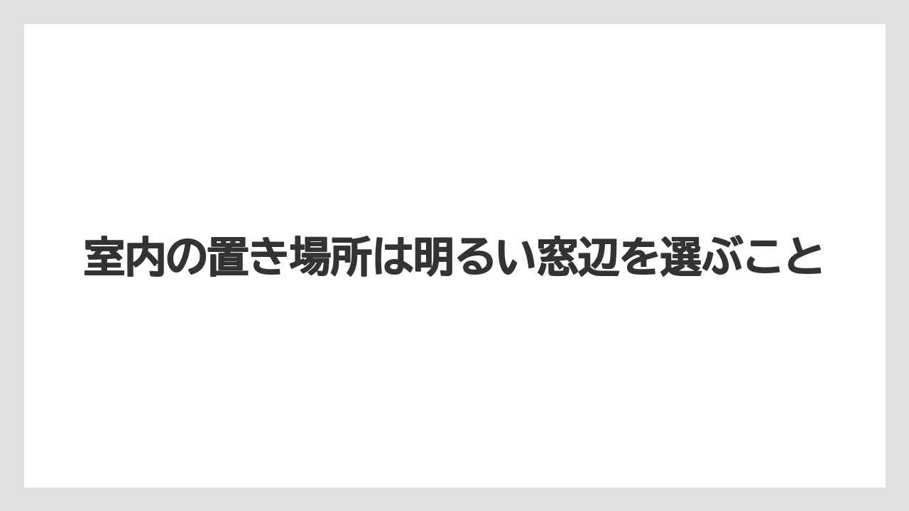 【栽培】【農園】【農業】室内の置き場所は明るい窓辺を選ぶこと