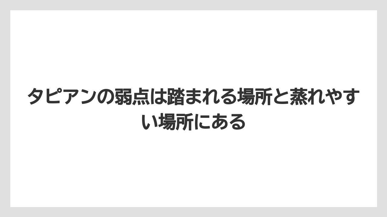 【ほったらかし】【栽培】【植え】タピアンの弱点は踏まれる場所と蒸れやすい場所にある