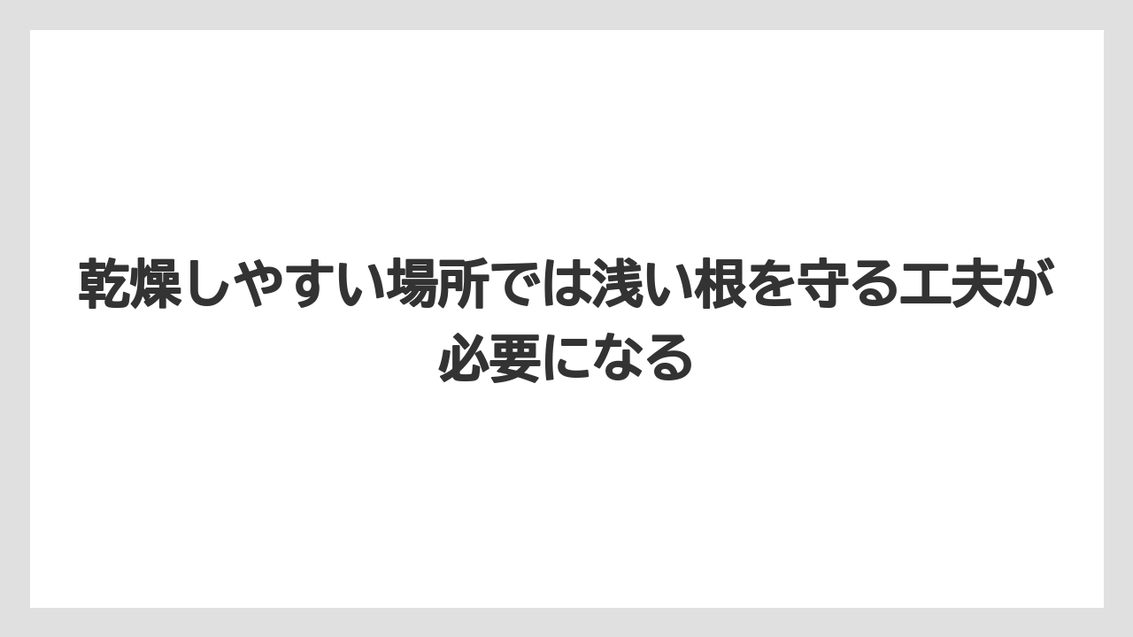 【いけない】【庭】【後悔】【栽培】【植え】乾燥しやすい場所では浅い根を守る工夫が必要になる