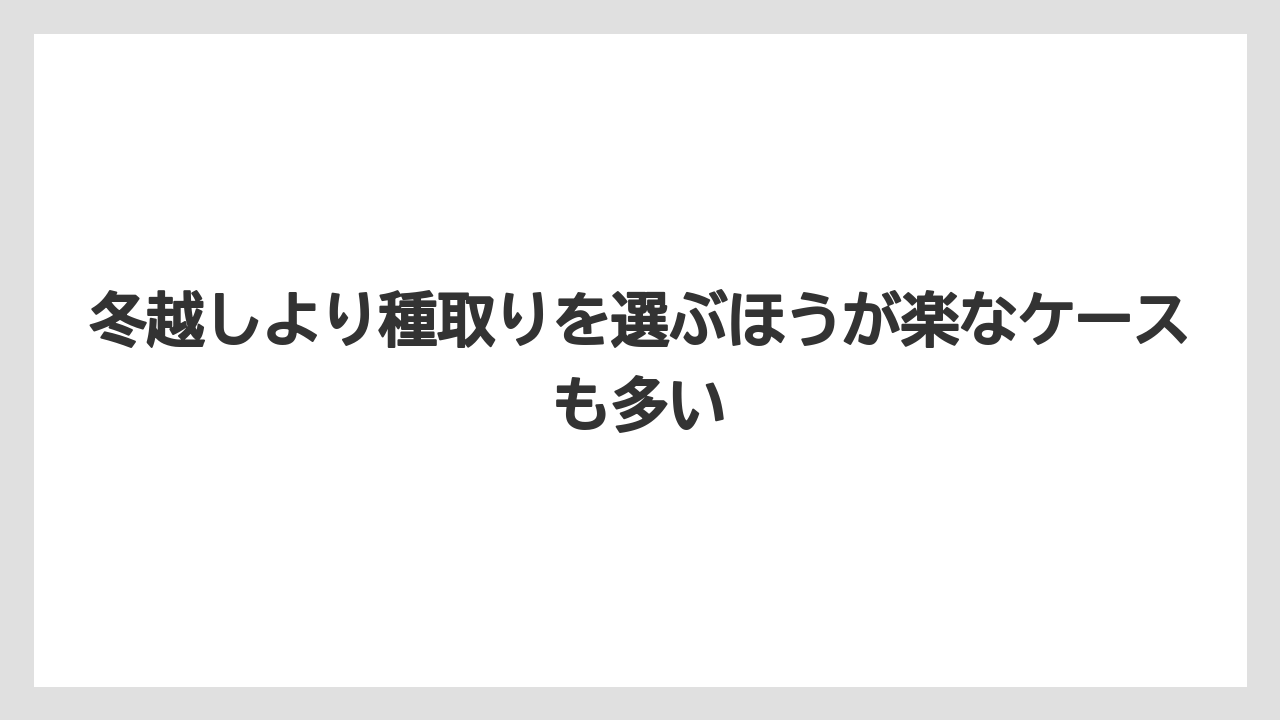 【栽培】【育て方】【越し】冬越しより種取りを選ぶほうが楽なケースも多い