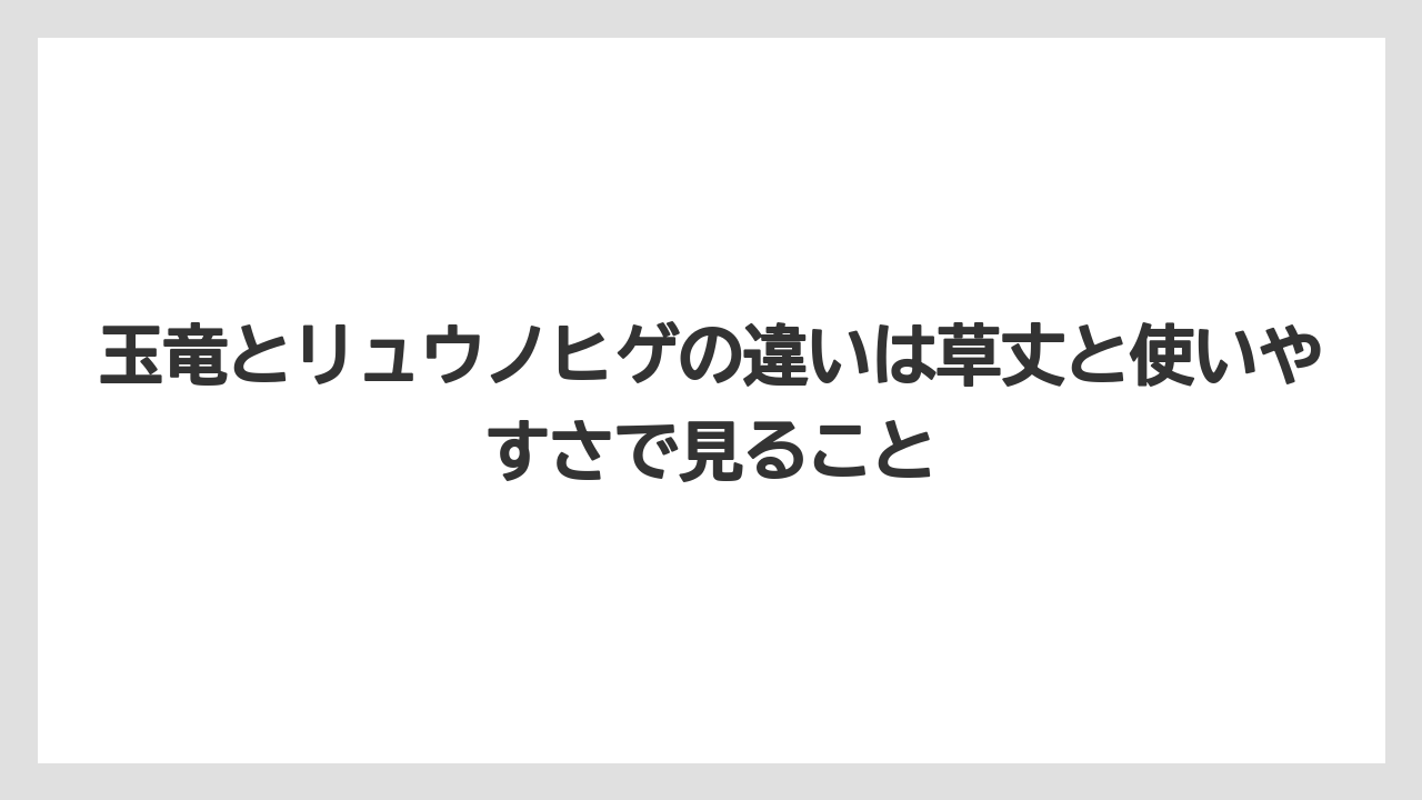 【しそ】【ミント】【栽培】玉竜とリュウノヒゲの違いは草丈と使いやすさで見ること