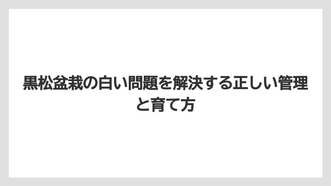 【栽培】【農園】【農業】黒松盆栽に白いダニがつく場合の見分け方