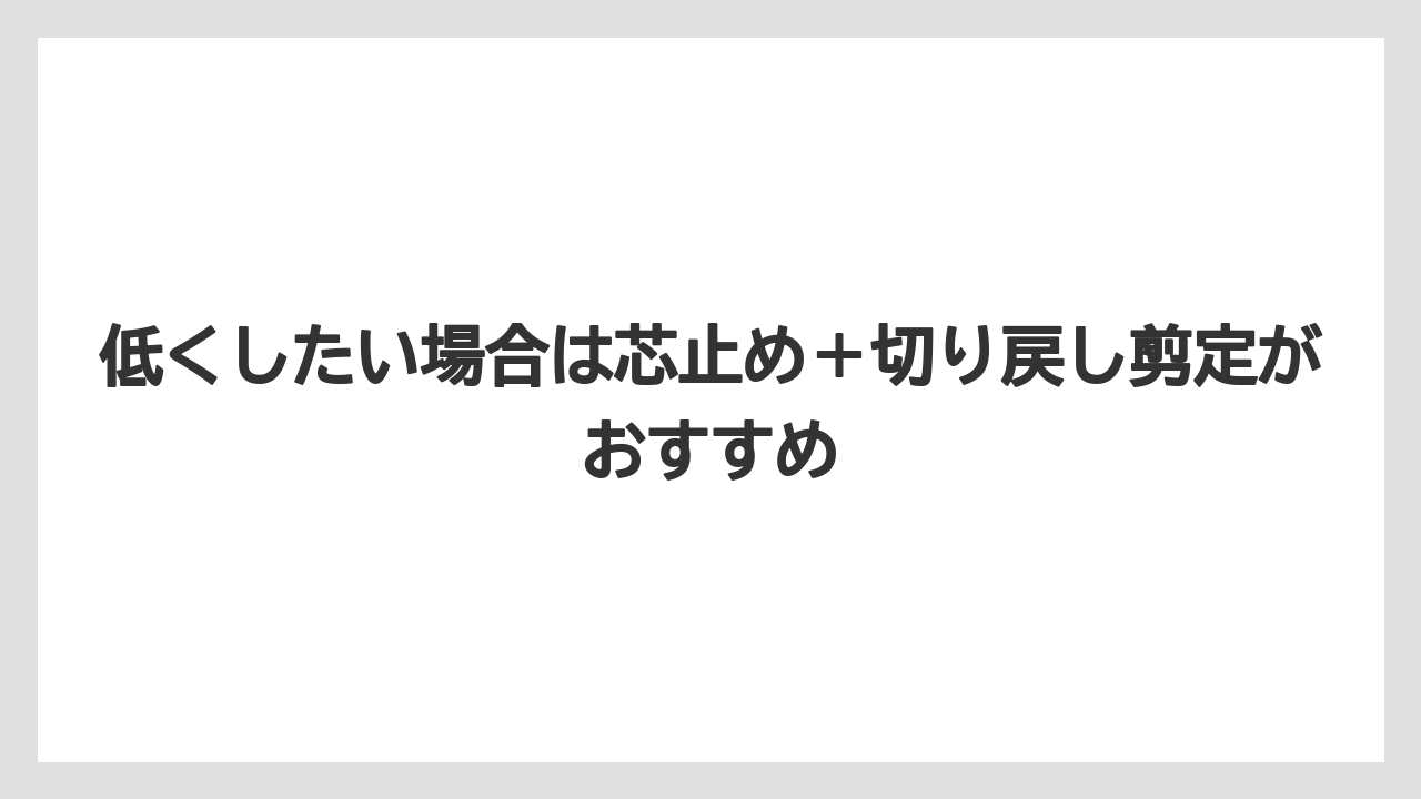 【栽培】【農園】【農業】低くしたい場合は芯止め＋切り戻し剪定がおすすめ