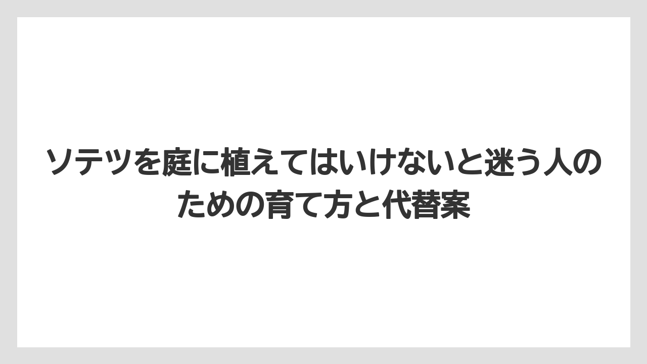 【アガベ】【バラ】【栽培】【猫】ソテツの根や大きさは狭い庭ほど植える前の余白確認が必要なこと