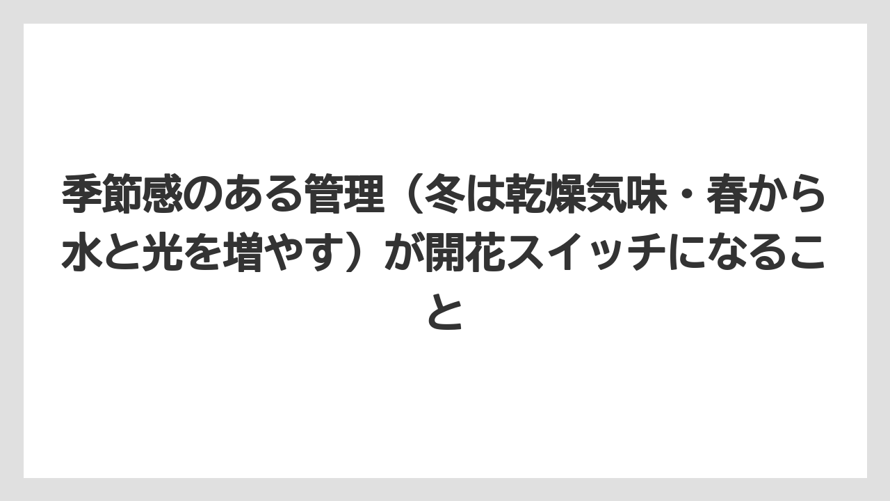 【栽培】【農園】【農業】季節感のある管理（冬は乾燥気味・春から水と光を増やす）が開花スイッチになること
