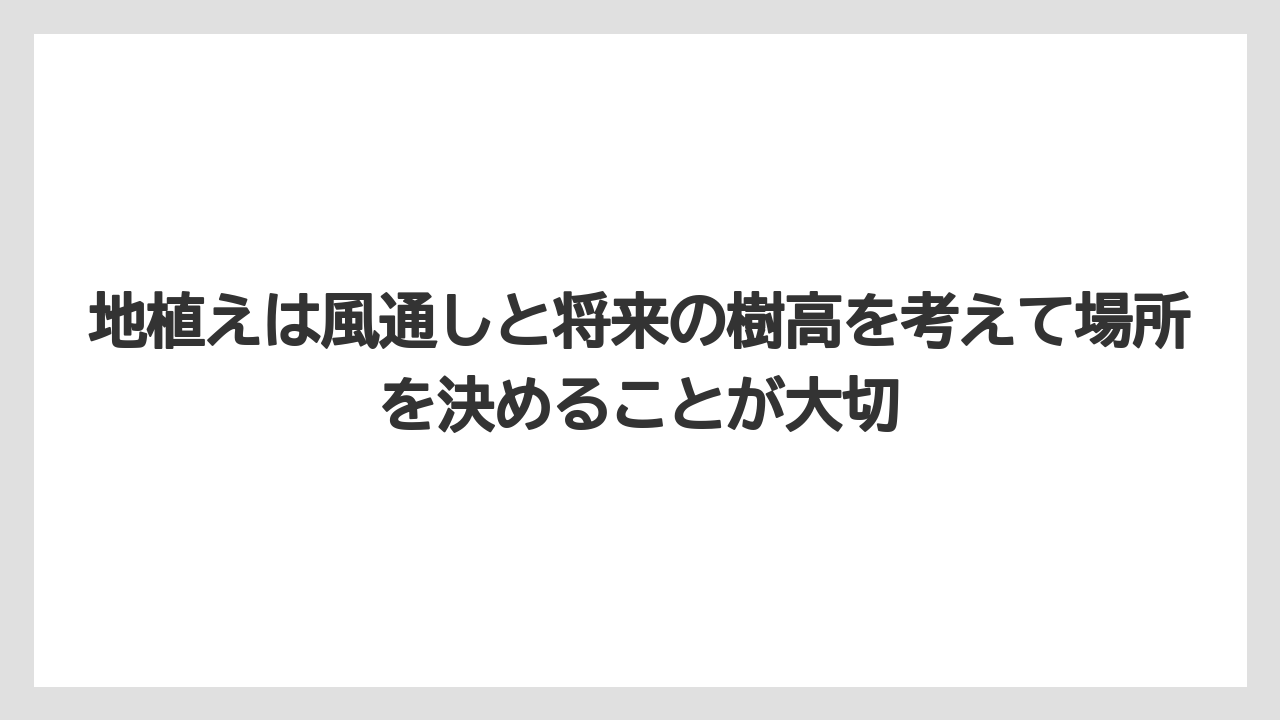 【栽培】【農園】【農業】地植えは風通しと将来の樹高を考えて場所を決めることが大切