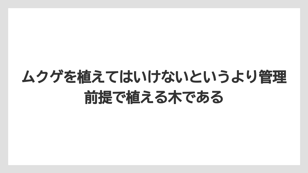 【いけない】【後悔】【栽培】【植え】ムクゲを植えてはいけないというより管理前提で植える木である