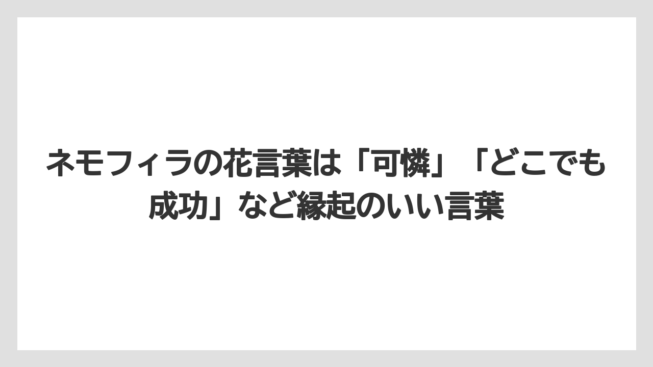 【栽培】【育て方】【草】ネモフィラの花言葉は「可憐」「どこでも成功」など縁起のいい言葉