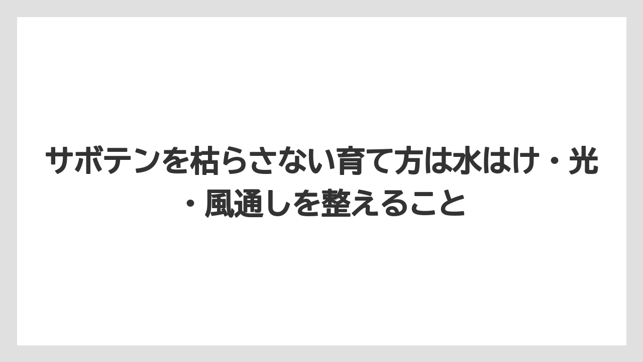 【サボテン】【枯れ】【栽培】サボテンを枯らさない育て方は水はけ・光・風通しを整えること