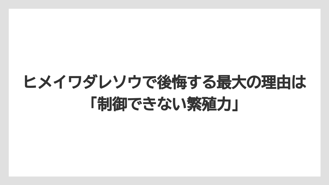 【栽培】【農園】【農業】ヒメイワダレソウで後悔する最大の理由は「制御できない繁殖力」