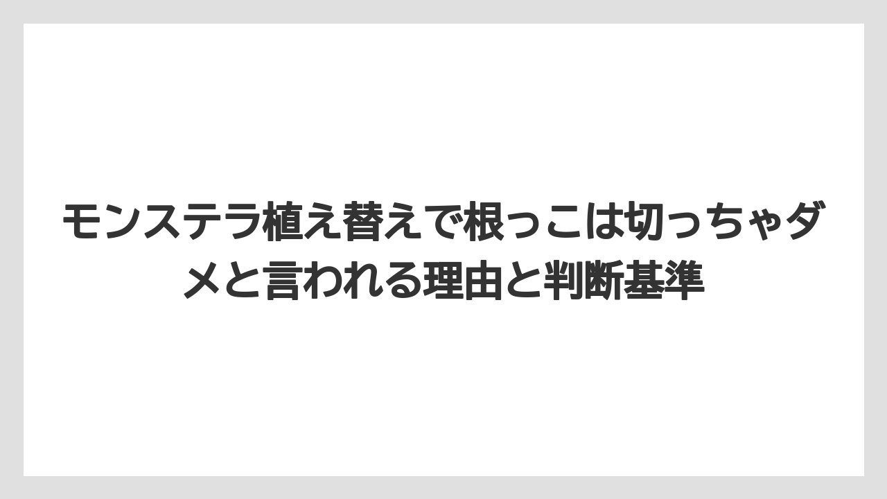 モンステラ植え替えで根っこは切っちゃダメと言われる理由と判断基準
