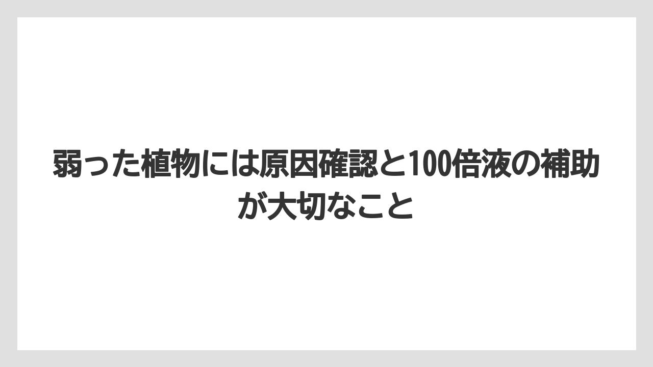 【メネデール】【栽培】【農業】弱った植物には原因確認と100倍液の補助が大切なこと