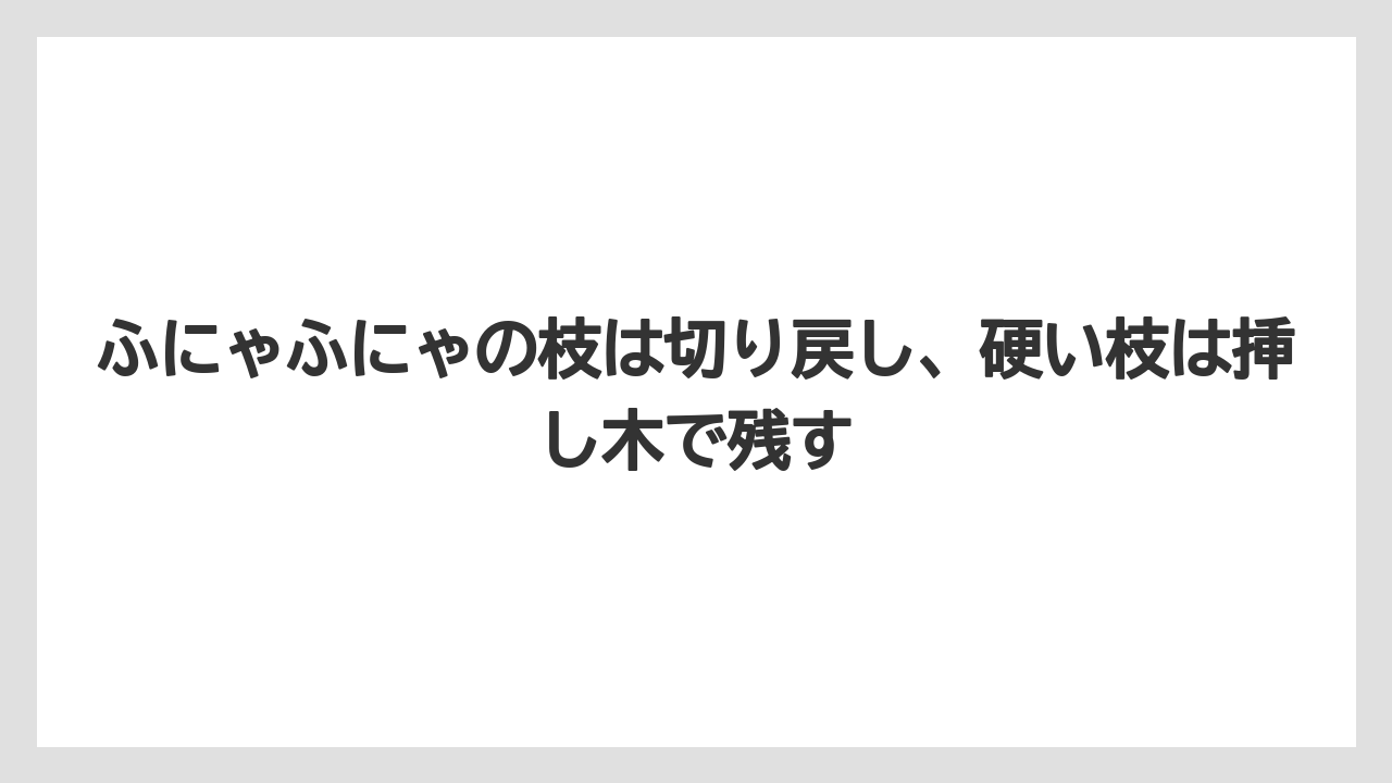 【木】【栽培】【農業】ふにゃふにゃの枝は切り戻し、硬い枝は挿し木で残す