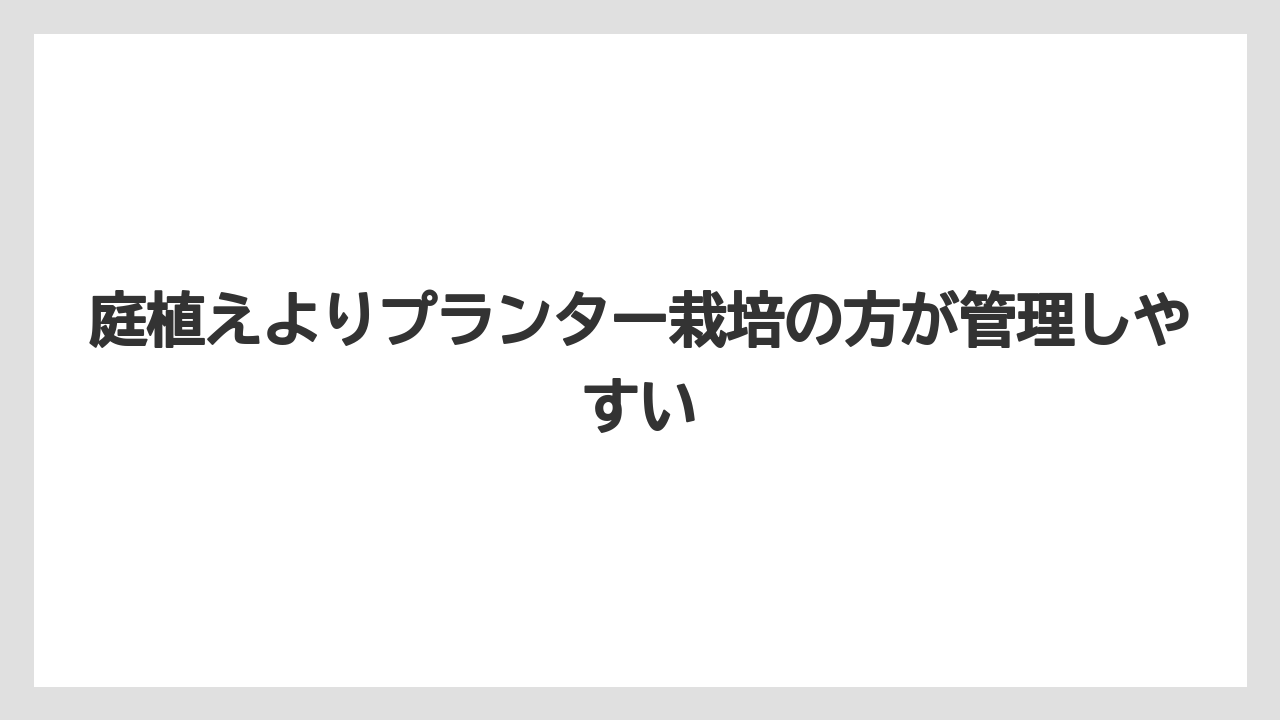 【栽培】【豆苗】【農業】庭植えよりプランター栽培の方が管理しやすい