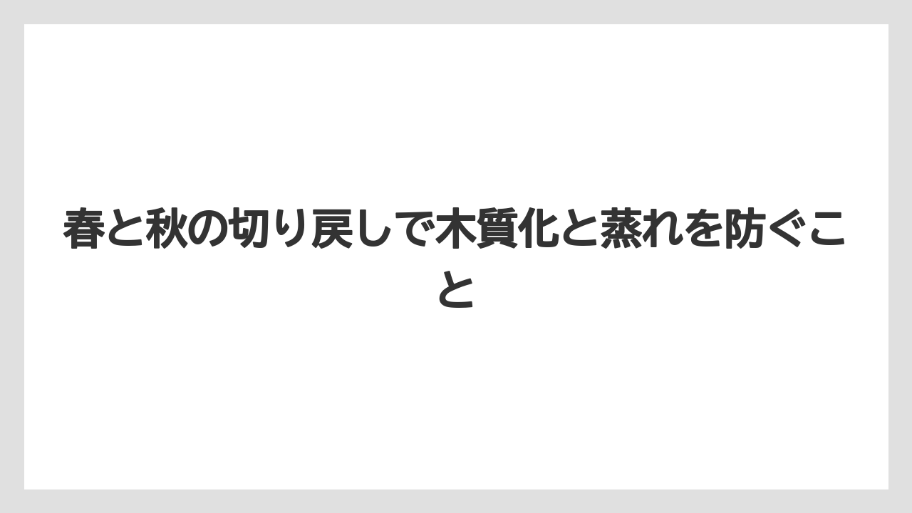 【栽培】【農園】【農業】春と秋の切り戻しで木質化と蒸れを防ぐこと