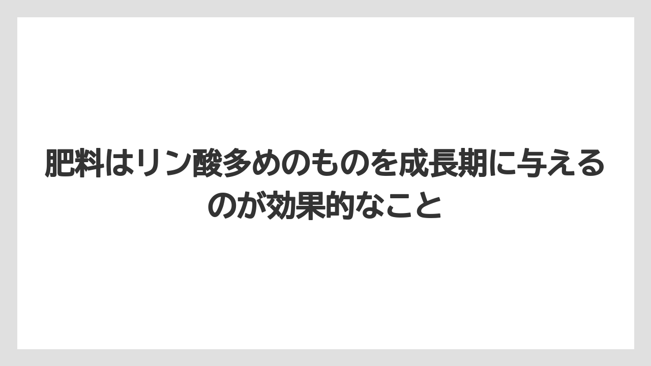 【栽培】【農園】【農業】肥料はリン酸多めのものを成長期に与えるのが効果的なこと