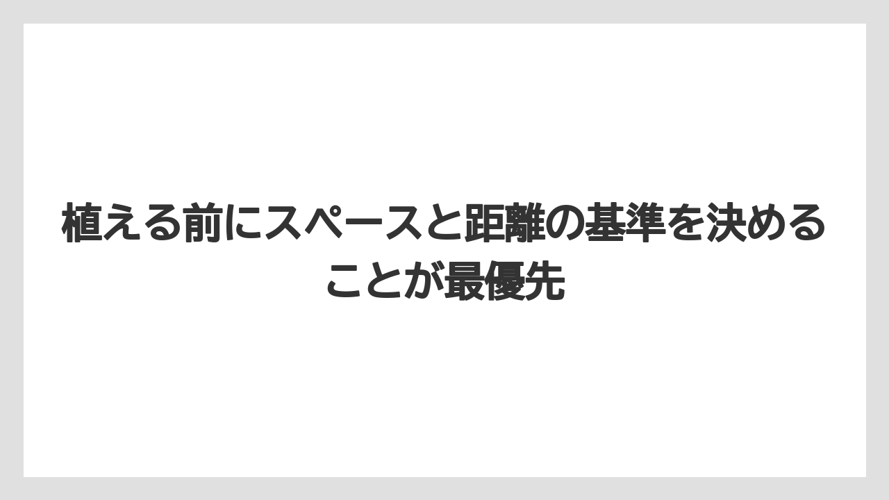 【ニンジン】【庭】【後悔】【栽培】植える前にスペースと距離の基準を決めることが最優先