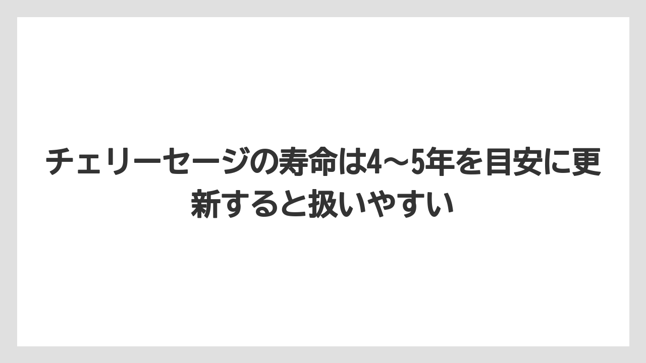 【栽培】【農園】【農業】チェリーセージの寿命は4〜5年を目安に更新すると扱いやすい