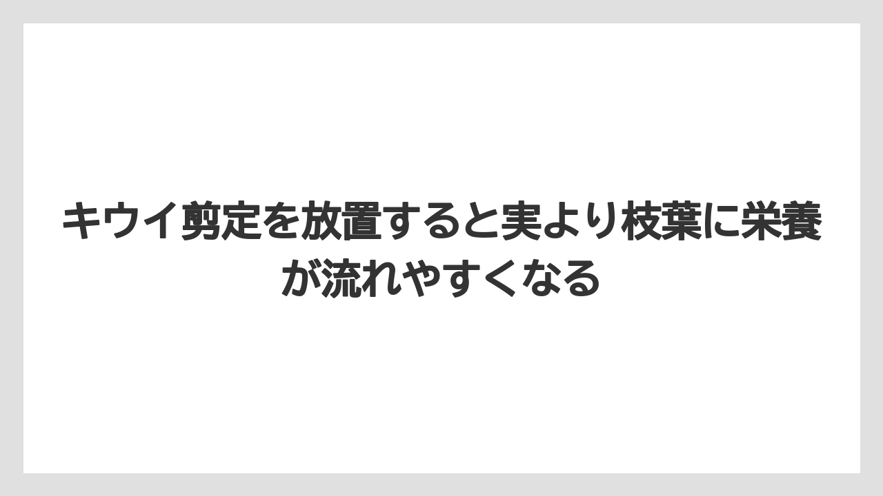 【バラ】【栽培】【農業】キウイ剪定を放置すると実より枝葉に栄養が流れやすくなる