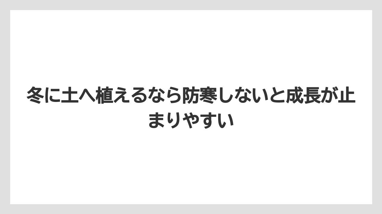 【支柱】【栽培】【豆苗】【農業】冬に土へ植えるなら防寒しないと成長が止まりやすい