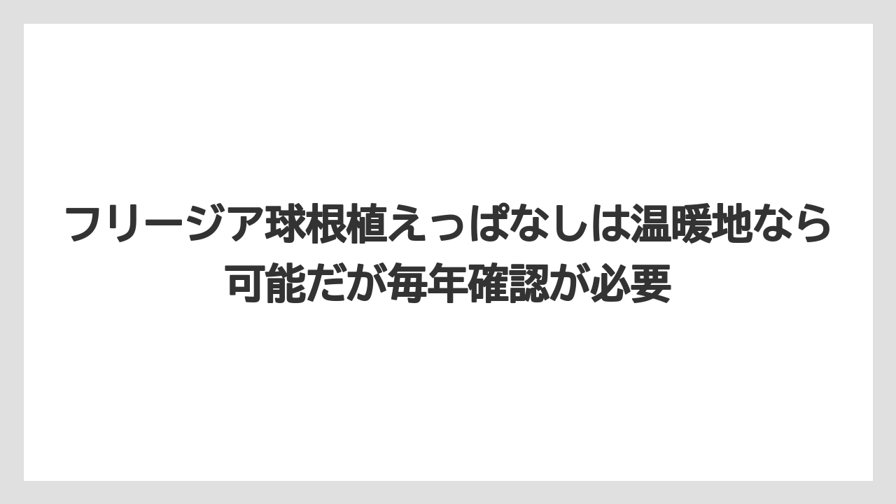 【栽培】【農園】【農業】フリージア球根植えっぱなしは温暖地なら可能だが毎年確認が必要