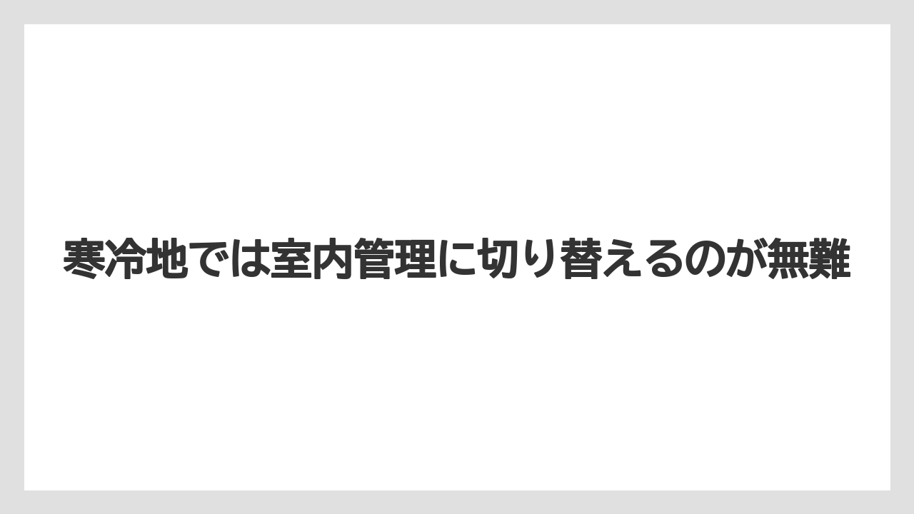 【栽培】【農園】【農業】寒冷地では室内管理に切り替えるのが無難