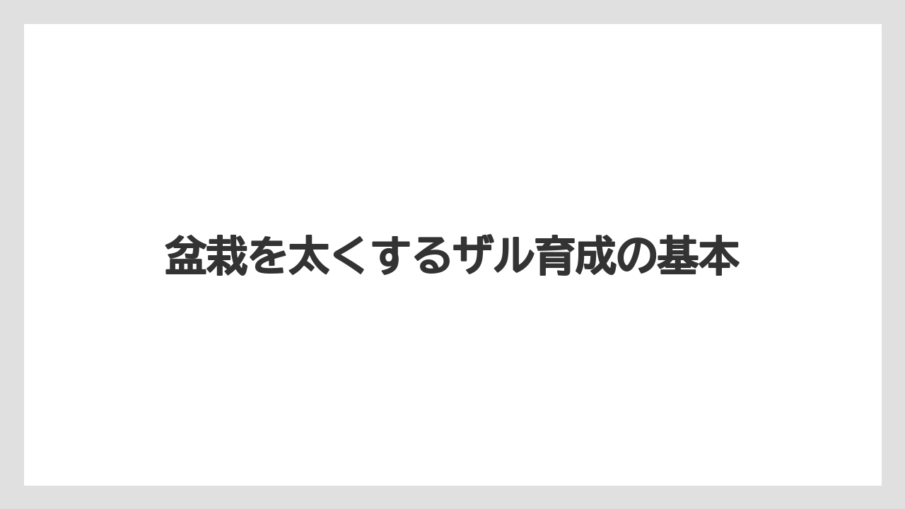 盆栽を太くするザル育成の基本