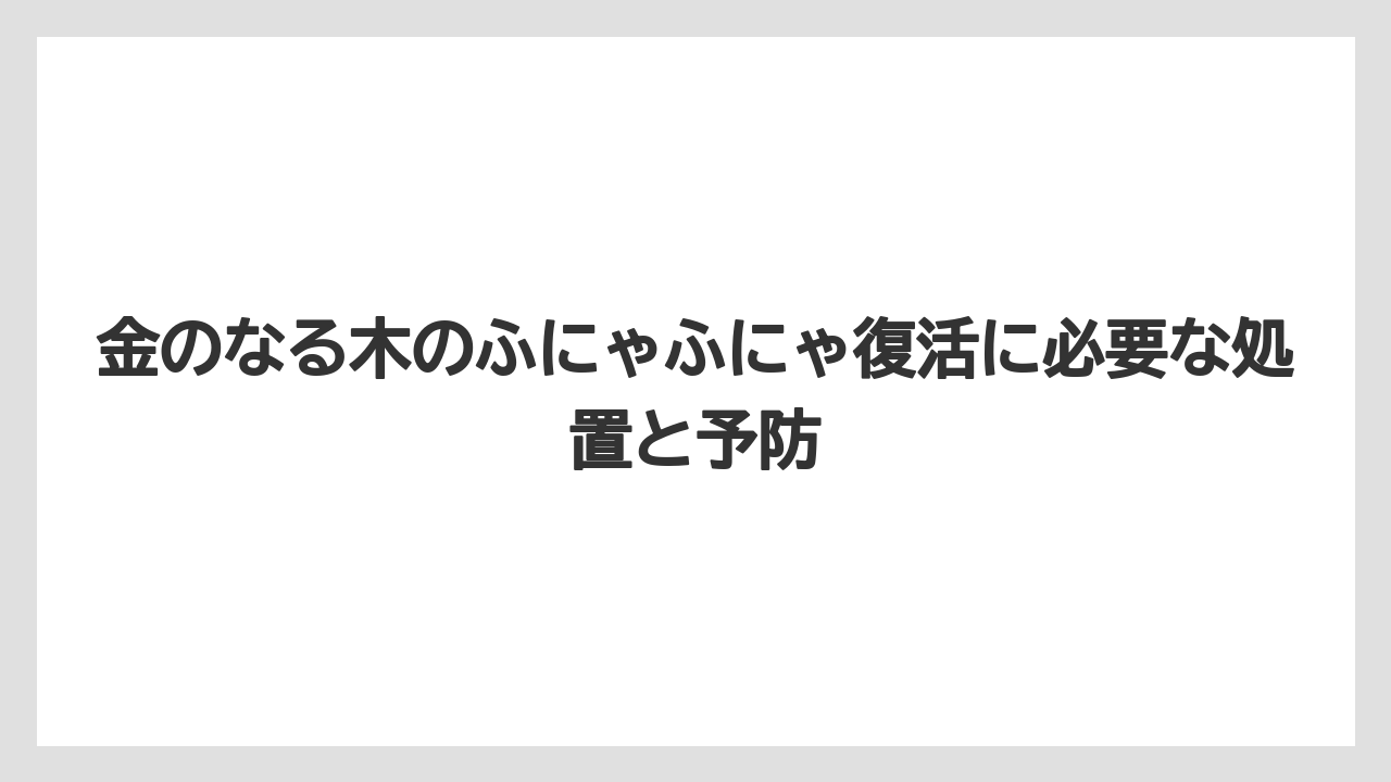 【木】【栽培】【農業】水不足のふにゃふにゃはシワと土の乾きで判断する