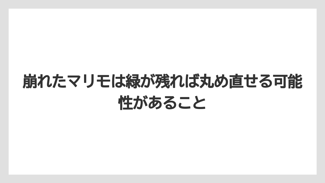 【まりも】【バラ】【栽培】崩れたマリモは緑が残れば丸め直せる可能性があること