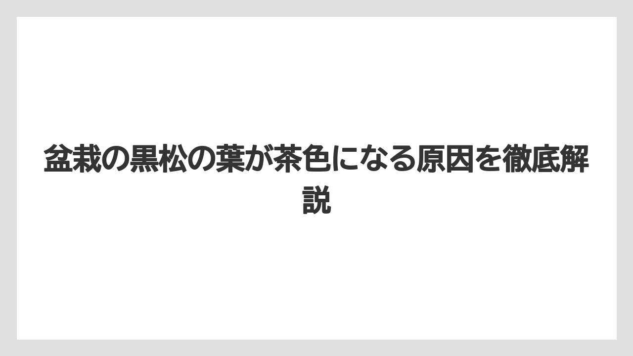 盆栽の黒松の葉が茶色になる原因を徹底解説