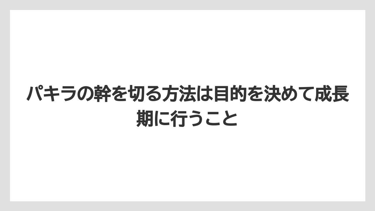 【パキラ】【栽培】【農業】パキラの幹を切る方法は目的を決めて成長期に行うこと