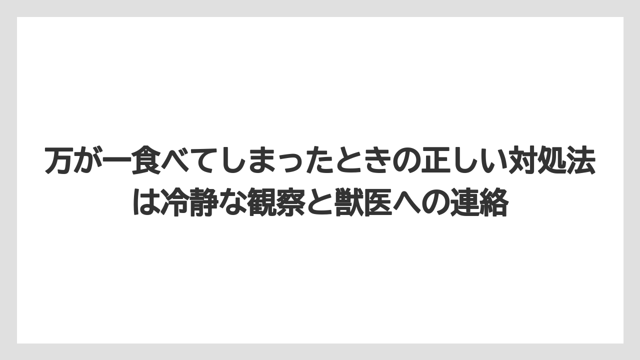 【シマトネリコ】【庭】【栽培】【毒】万が一食べてしまったときの正しい対処法は冷静な観察と獣医への連絡