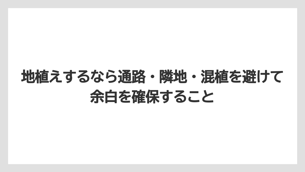 【栽培】【農園】【農業】地植えするなら通路・隣地・混植を避けて余白を確保すること