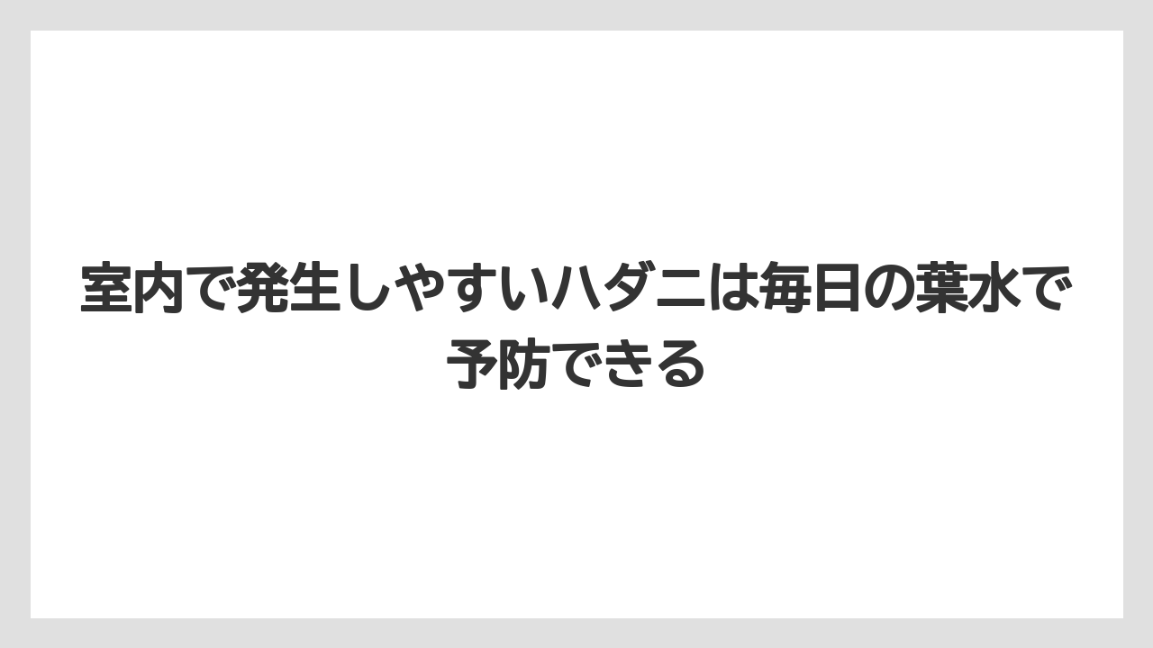 【剪定】【栽培】【越し】室内で発生しやすいハダニは毎日の葉水で予防できる