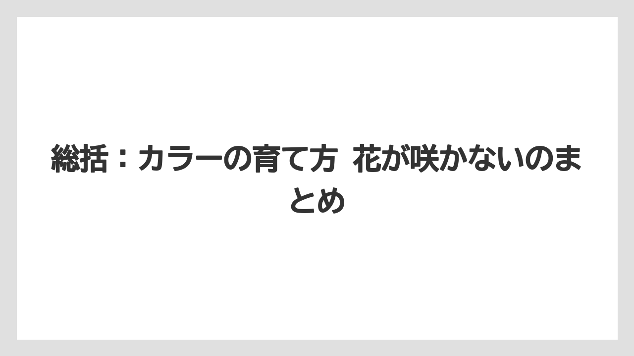 【栽培】【農園】【農業】総括:カラーの育て方 花が咲かないのまとめ