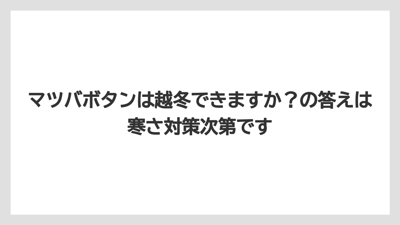 【栽培】【農園】【農業】マツバボタンは越冬できますか？の答えは寒さ対策次第です