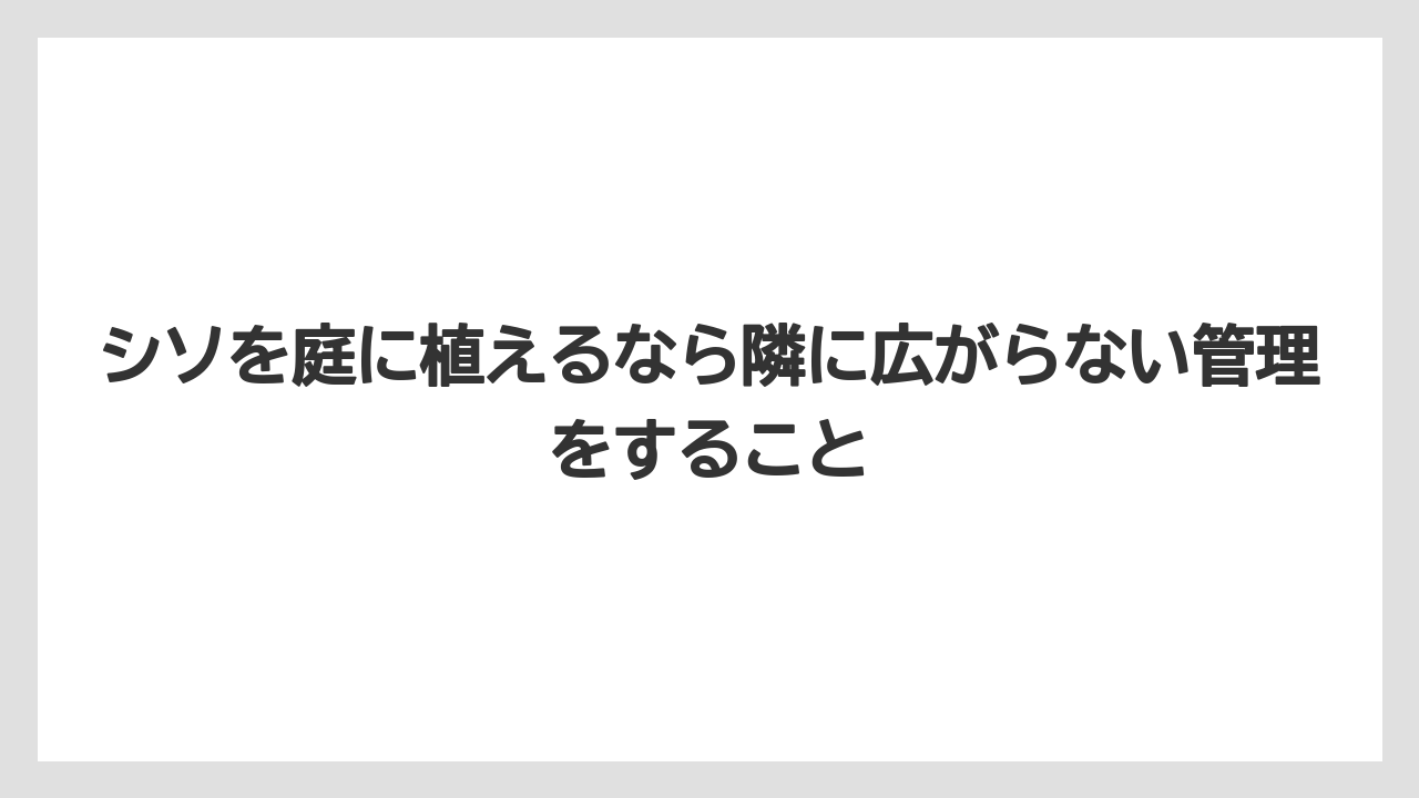 【いけない】【大葉】【庭】【栽培】【植え】シソを庭に植えるなら隣に広がらない管理をすること