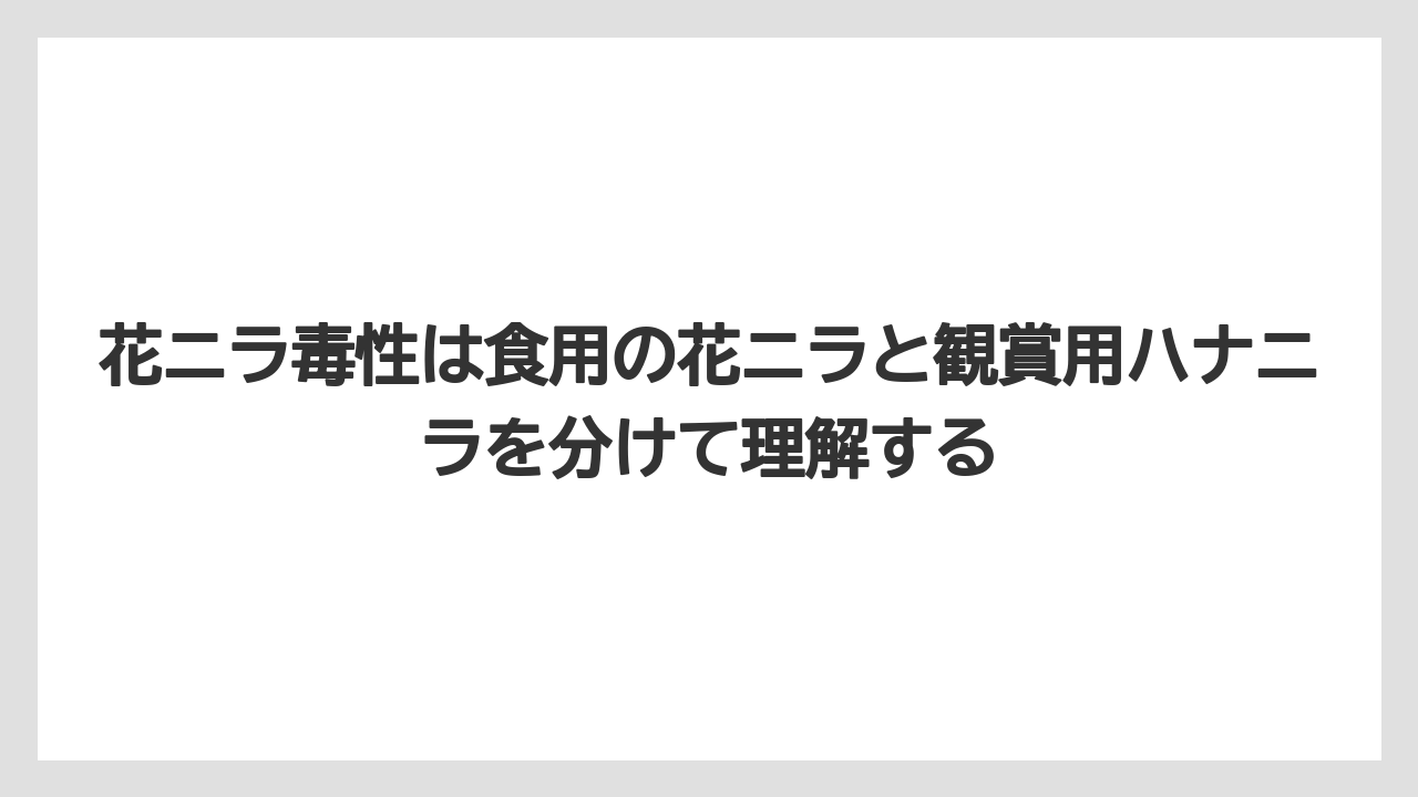 【ハナニラ】【栽培】【毒】花ニラ毒性は食用の花ニラと観賞用ハナニラを分けて理解する
