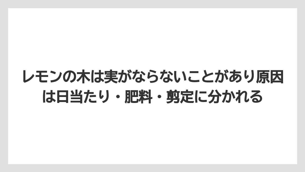 【レモン】【栽培】【農業】レモンの木は実がならないことがあり原因は日当たり・肥料・剪定に分かれる