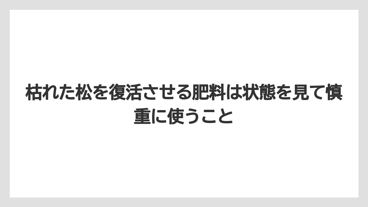 【枯れ】【栽培】【葉】枯れた松を復活させる肥料は状態を見て慎重に使うこと