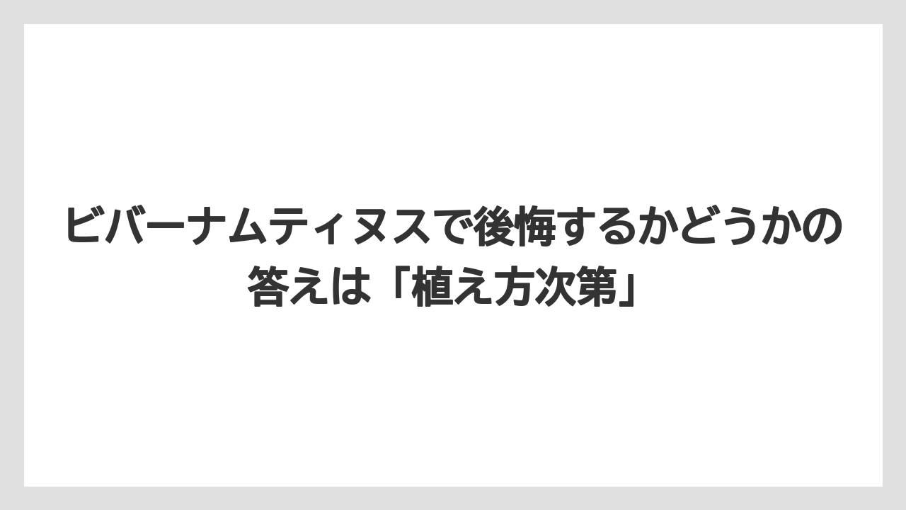 【ビバーナム】【後悔】【栽培】【植え】【育て方】ビバーナムティヌスで後悔するかどうかの答えは「植え方次第」