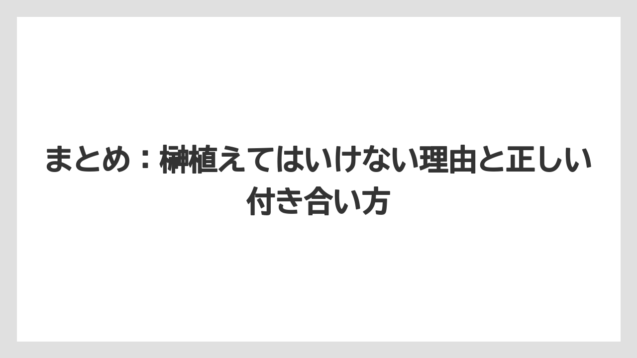 【いけない】【庭】【栽培】【植え】【育て方】まとめ：榊植えてはいけない理由と正しい付き合い方