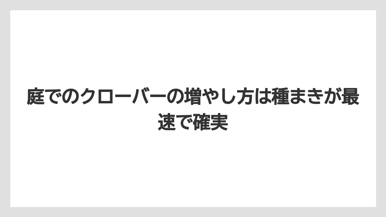 【栽培】【農園】【農業】庭でのクローバーの増やし方は種まきが最速で確実