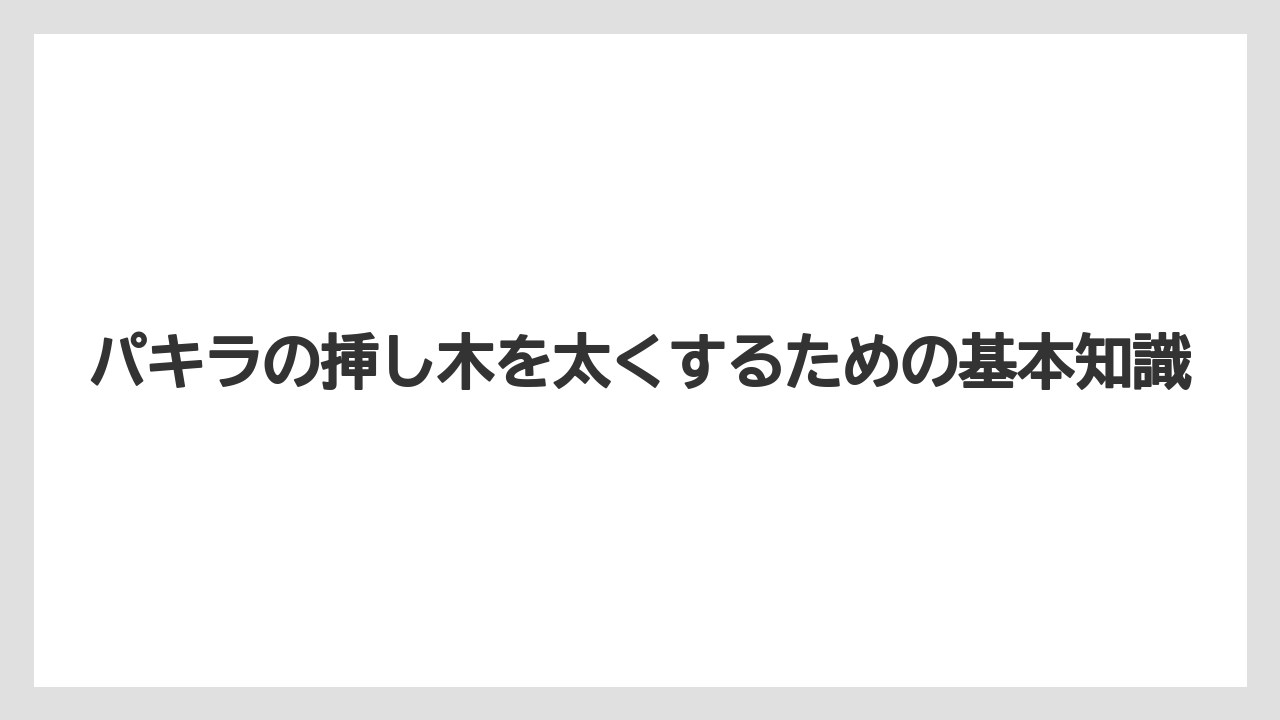 パキラの挿し木を太くするための基本知識