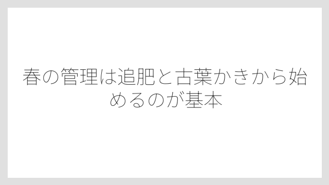 春の管理は追肥と古葉かきから始めるのが基本