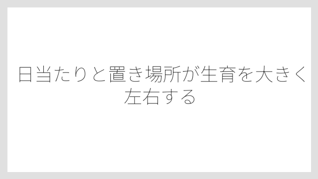 日当たりと置き場所が生育を大きく左右する