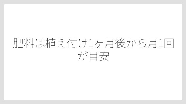 肥料は植え付け1ヶ月後から月1回が目安