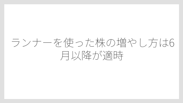 ランナーを使った株の増やし方は6月以降が適時