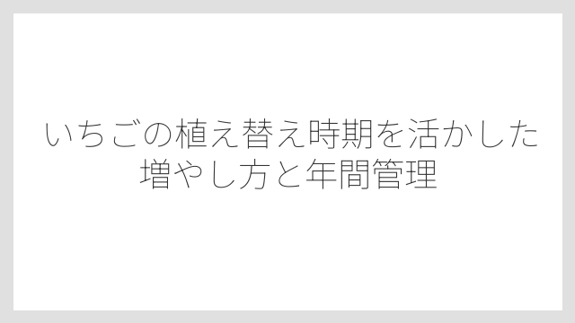 水やりは土の表面が乾いてから行うのが正解