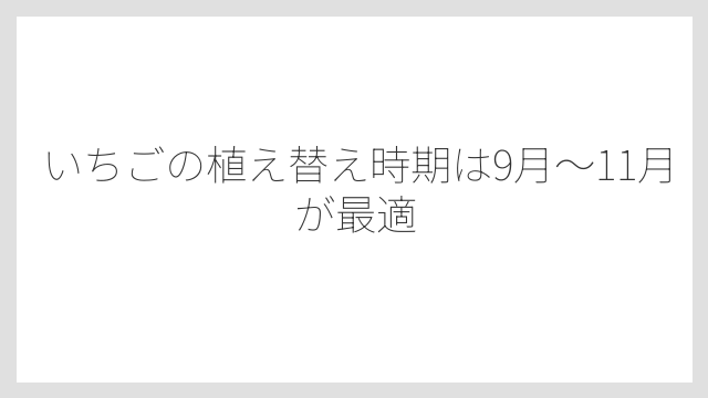 いちごの植え替え時期は9月〜11月が最適